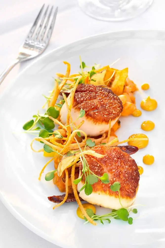 Maine diver scallop dish with crispy garnishes and microgreens.